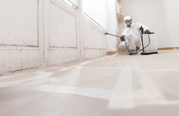 24/7 Emergency Attic Mold Removal experts in Kensington, MD